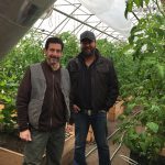 A Tour of McEnroe Organic Farm, Millerton NY
